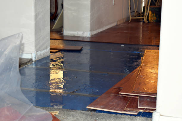 Professional Basement Water Removal technician working in East Bank, WV